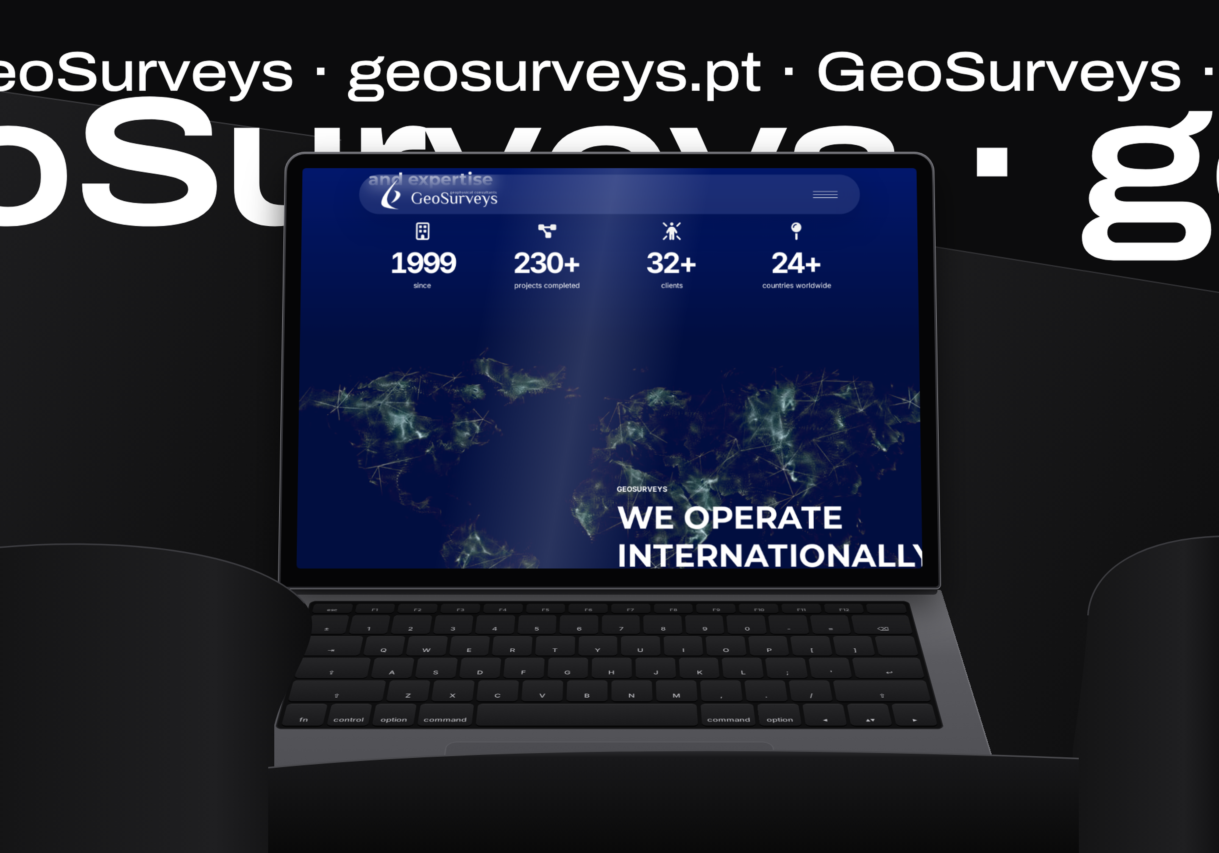 GeoSurveys: site institucional