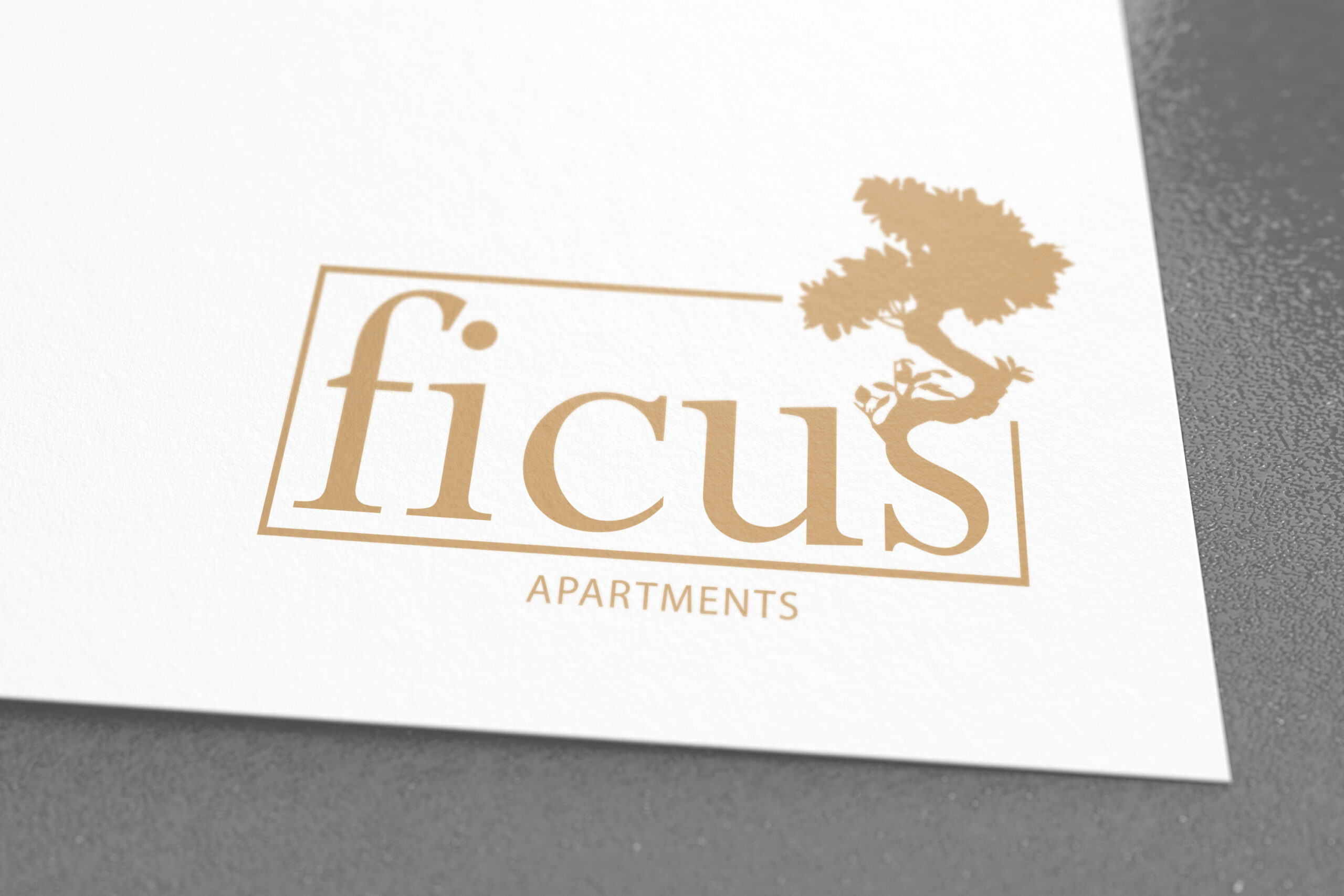 Ficus: nome, marca e vinis